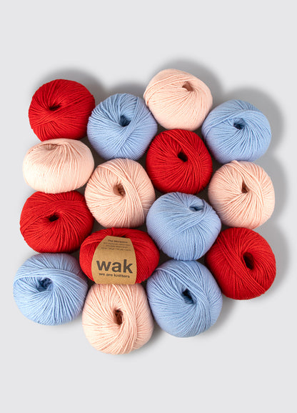 Pack de 15 Pelotes de Meripaca Yarn